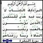 Palm Quran